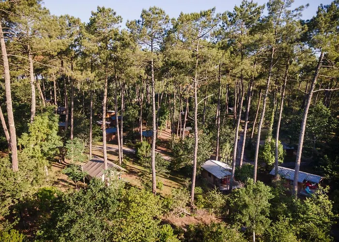Huttopia Landes Sud Kamp alanı 3*