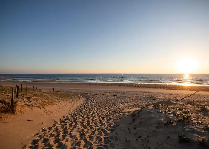 Huttopia Landes Sud Kamp alanı