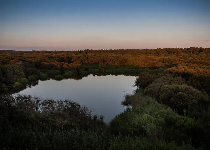 Huttopia Landes Sud Saint-Michel-Escalus